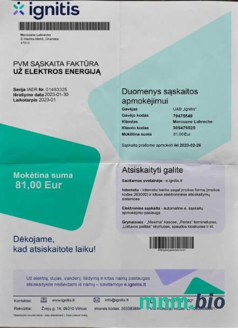 Litwa zapala rachunek za energię elektryczną